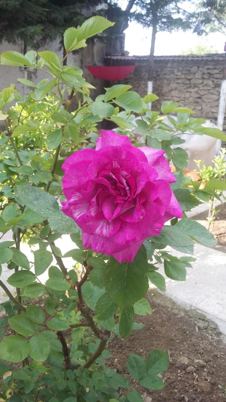 Nimet Hanim Konagi 사프란볼루 외부 사진